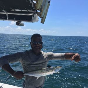 Meet your Posher, Larry